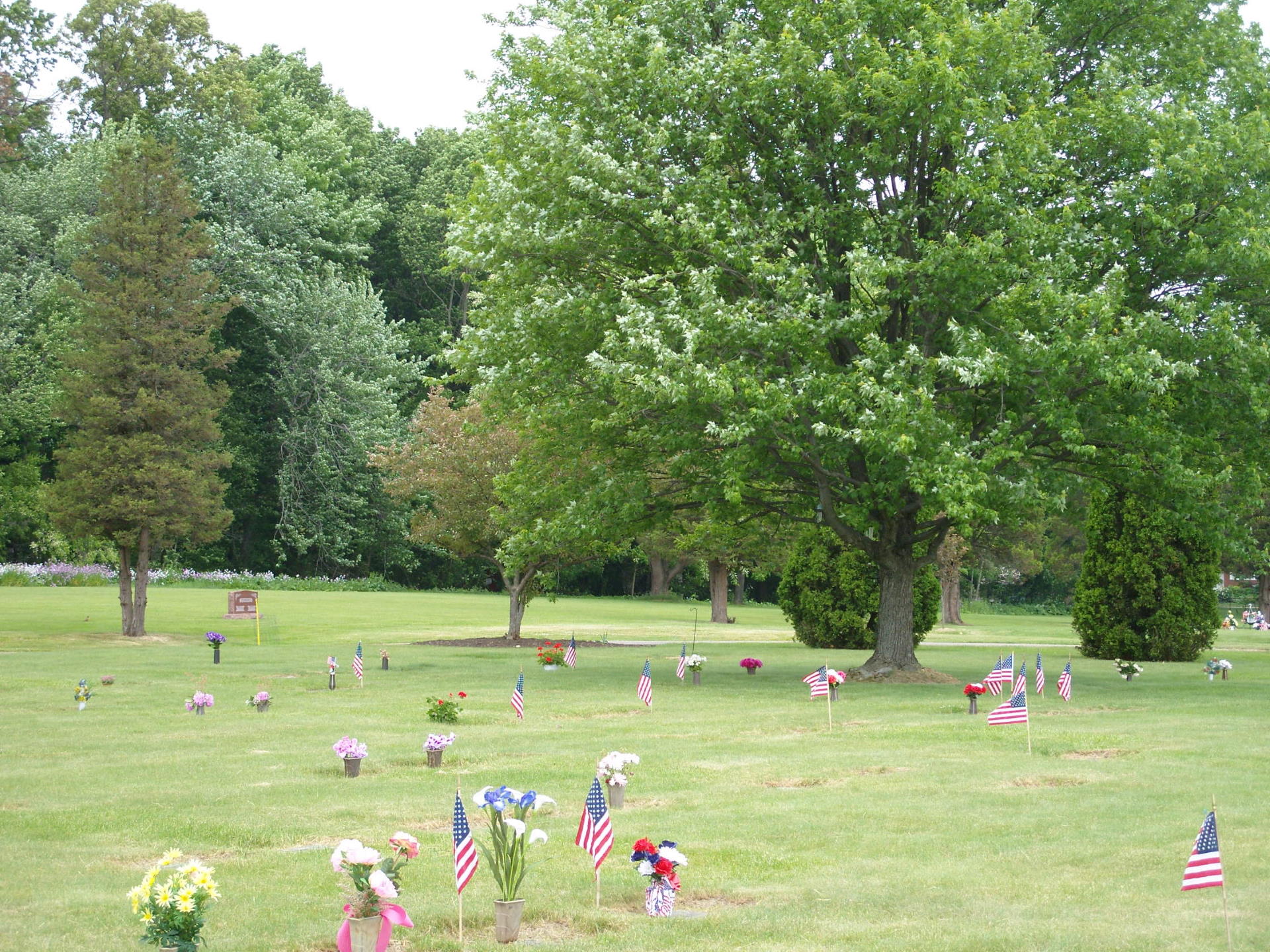 SAMSUNG DIGITAL CAMERA